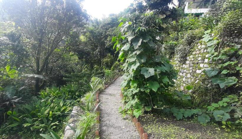 Bed and Breakfast Experto The Greens