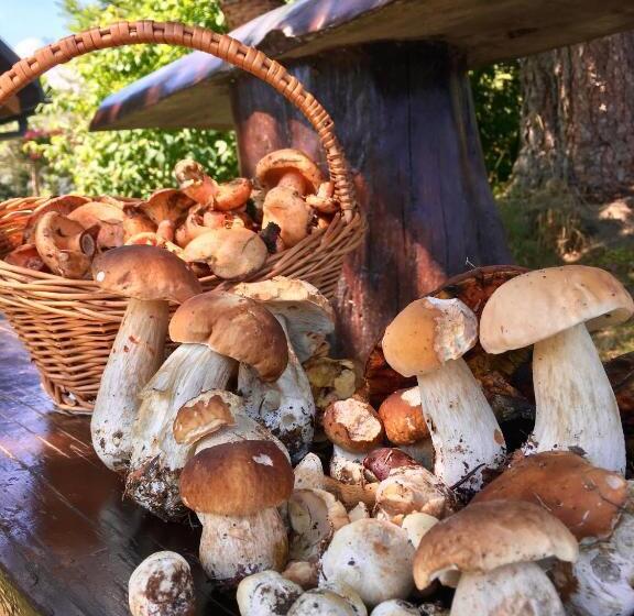 Hotel Agroturystyka Pod Modrzewiem   Babia Góra