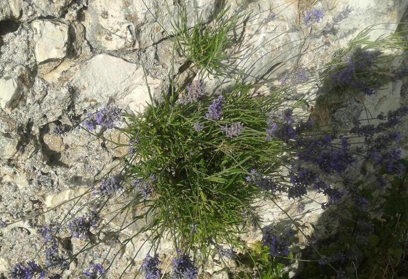 فندق Ferme De Sejour Rebuffel