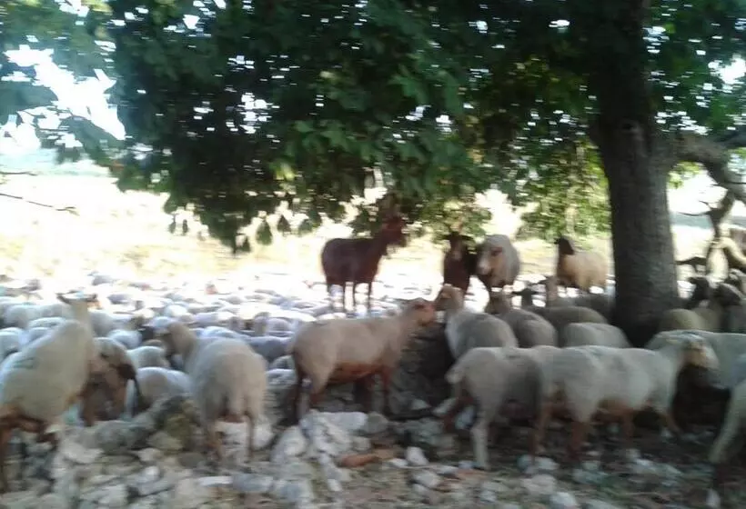 ホテル Ferme De Sejour Rebuffel