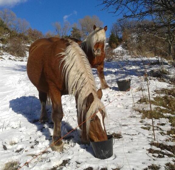 فندق Ferme De Sejour Rebuffel