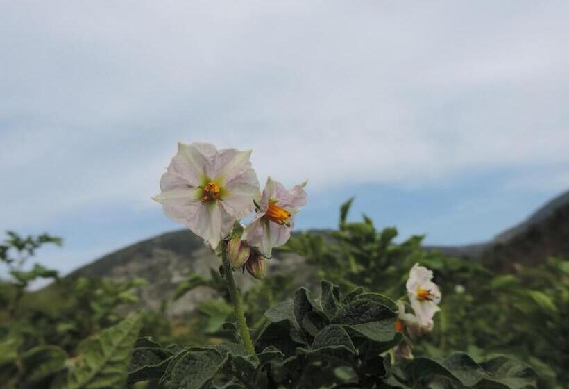 فندق Ferme De Sejour Rebuffel