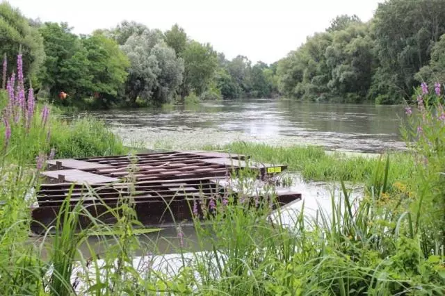 Majatalo Alba Regia Pansion Egri