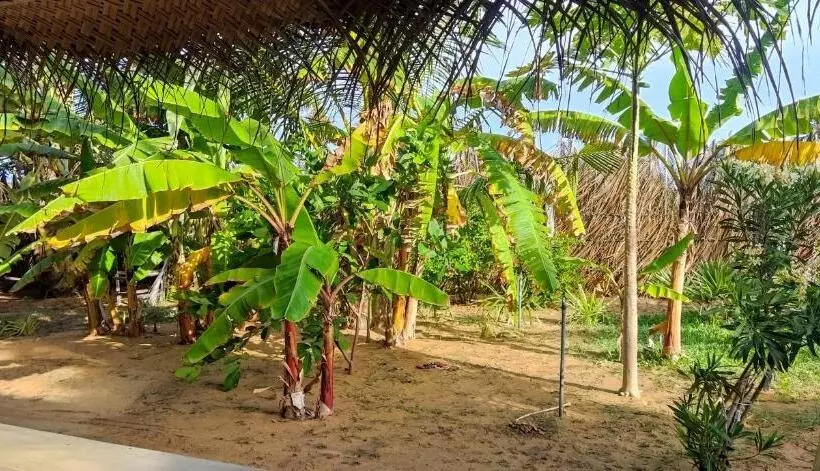 Majatalo Dune Towers