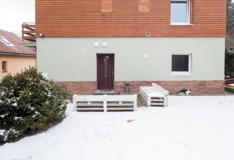 膳宿费 Guesthouse Yes In Bodice