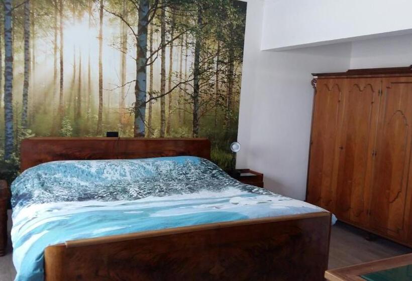 פנסיון Twins Farm