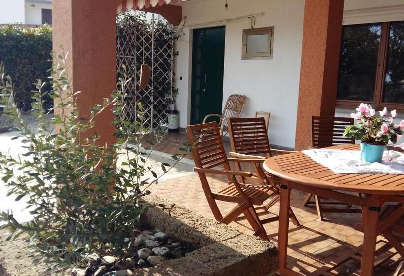 פנסיון Twins Farm