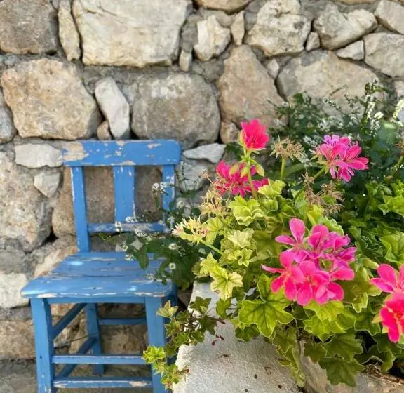 Aamiaismajoitus (B&B) Suleymans Garden