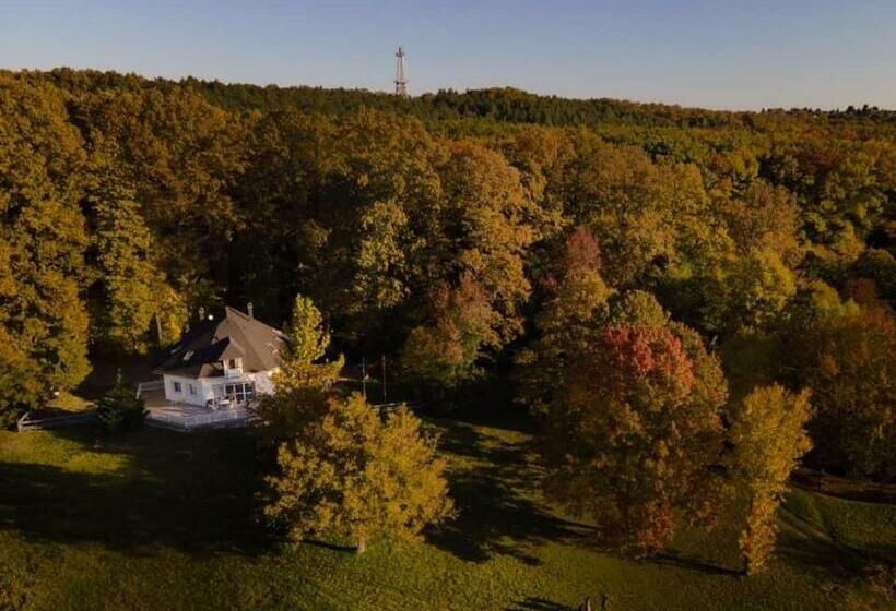 پانسیون Magnólia