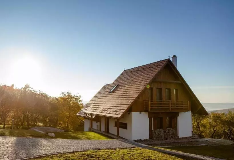 Pensiunea Szilas Panzió