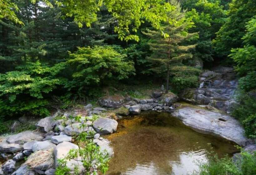 호텔 Gangneung Yeon House Pension