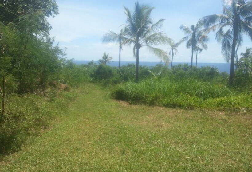 Hotel Mick & Kaye S B&b