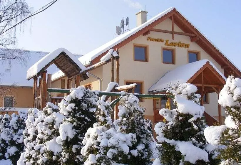 Hotelli Penzion Larion