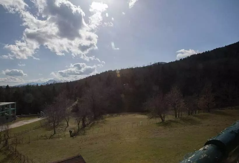 Hotelli Silva Suites