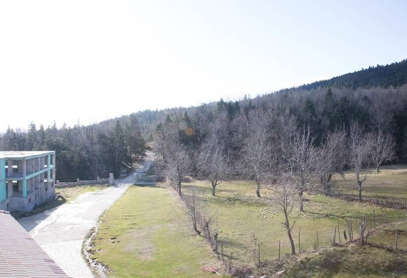 فندق Silva Suites