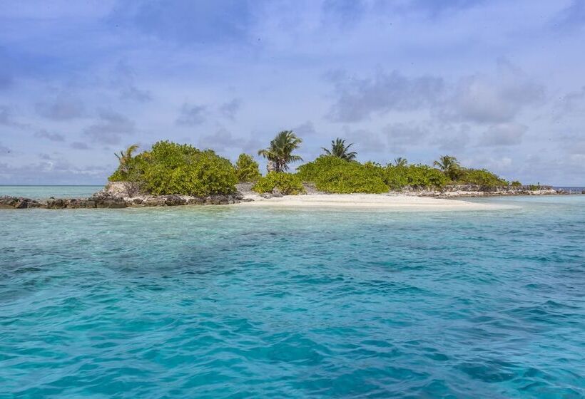 هتل Vaali Maldives Island Escapes & Dive