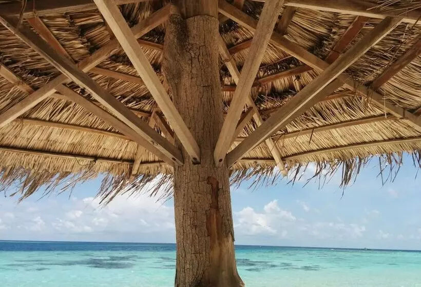 هتل Vaali Maldives Island Escapes & Dive