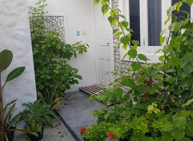 هتل Vaali Maldives Island Escapes & Dive