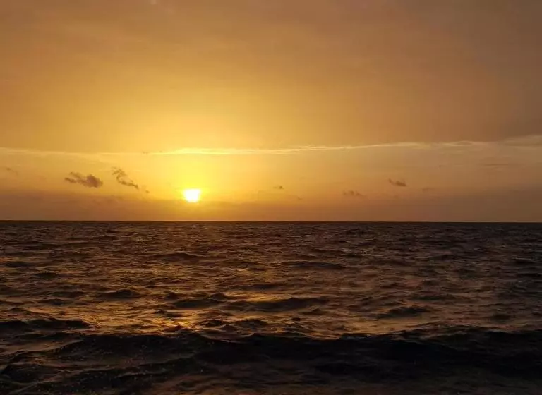 هتل Vaali Maldives Island Escapes & Dive