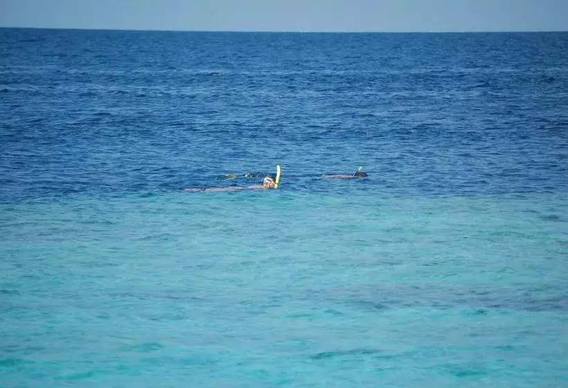 هتل Vaali Maldives Island Escapes & Dive