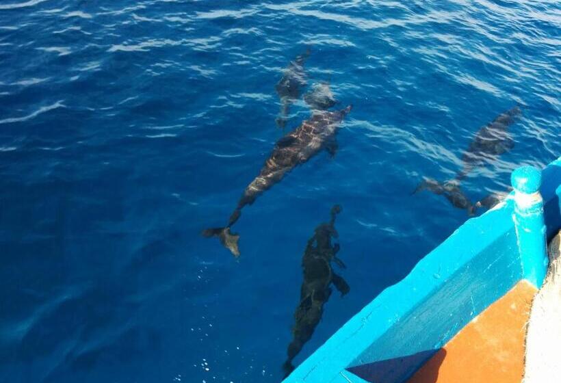 هتل Vaali Maldives Island Escapes & Dive