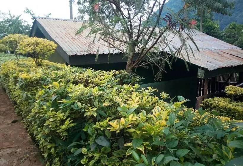 هتل Bwindi View Lodge & Camp Site
