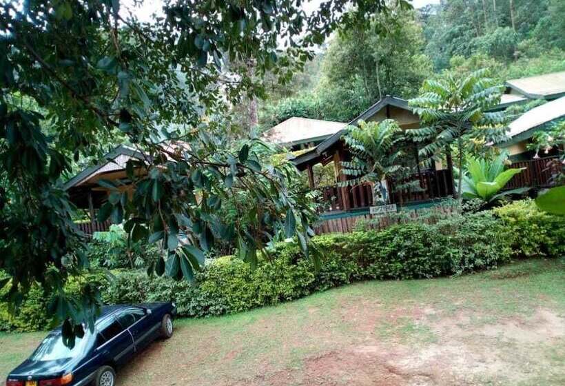 هتل Bwindi View Lodge & Camp Site
