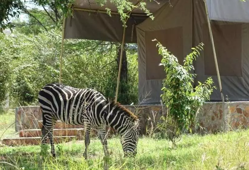 هتل Semadep Safari Camp