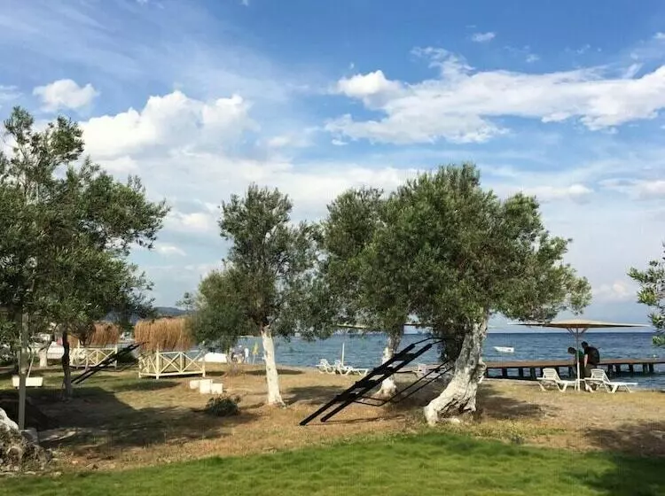 Ilgaz Motel