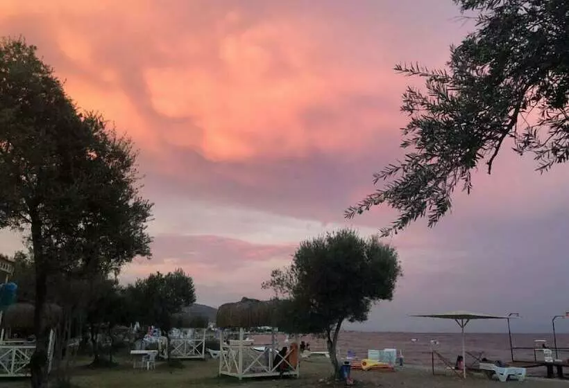 Ilgaz Motel