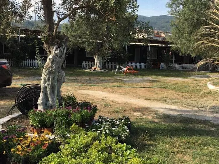 Ilgaz Motel