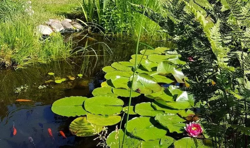 هتل Ferienhaus Potsdam In Fichtenwalde