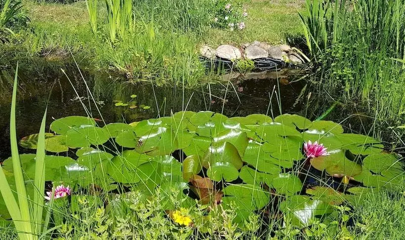 هتل Ferienhaus Potsdam In Fichtenwalde