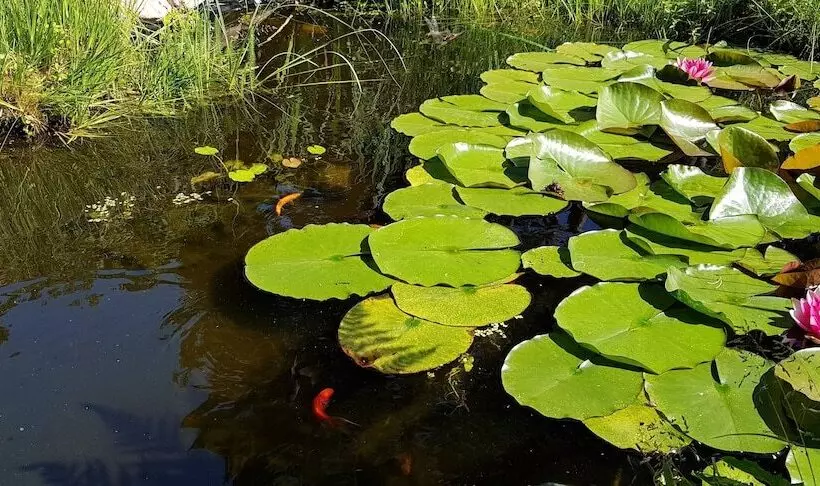 هتل Ferienhaus Potsdam In Fichtenwalde