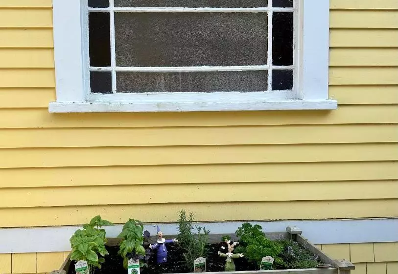 צימר The Inn At The Oaks