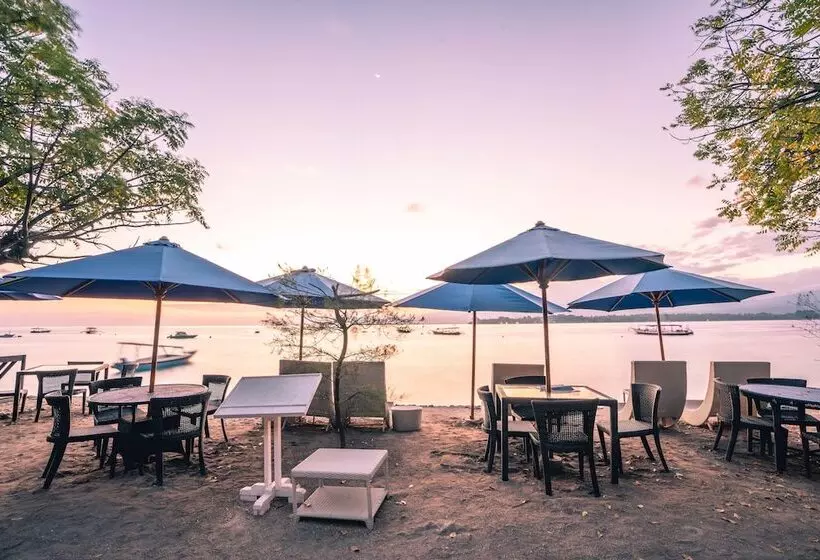 هتل Manta Dive Resort Gili Air