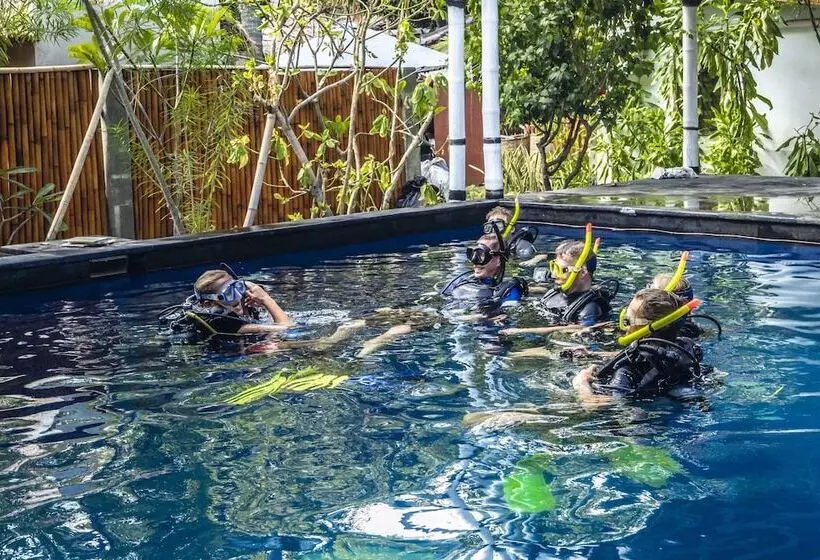 هتل Manta Dive Resort Gili Air
