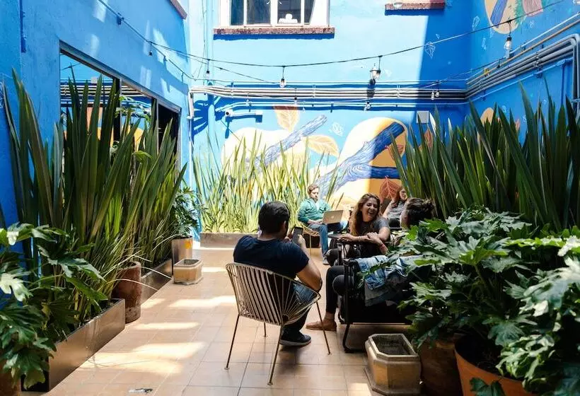 Отель Selina Mexico City Downtown