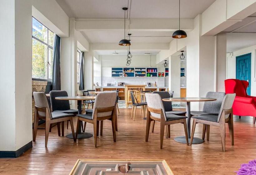 فندق Selina Mexico City Downtown