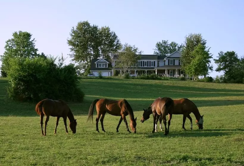 The Inn At Westwynd Farm B&b