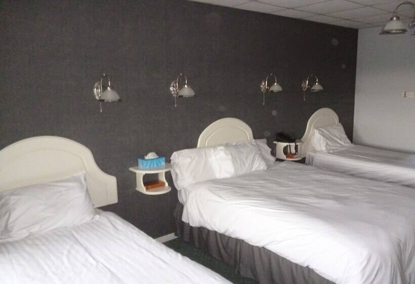 فندق 5 Corners Guest Inn
