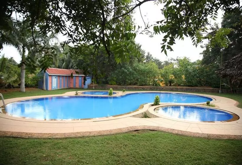 בית מלון כפרי Prince Park