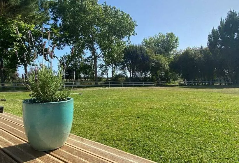 هتل روستایی Herdade Moita Mar Country & Sea