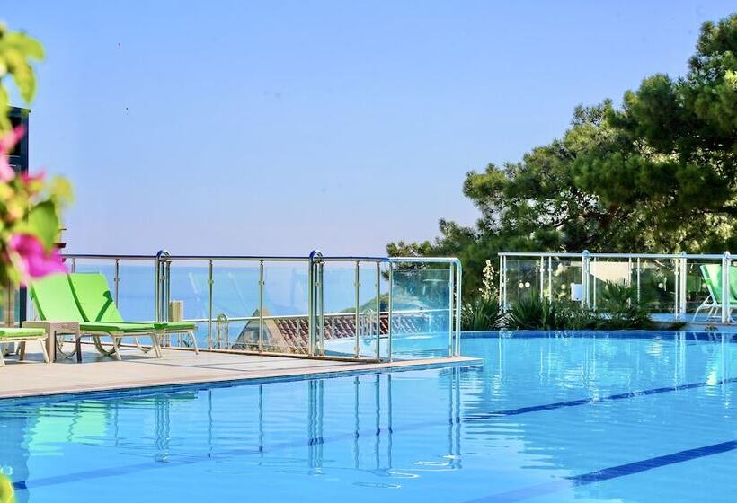 酒店 Tropical Deluxe