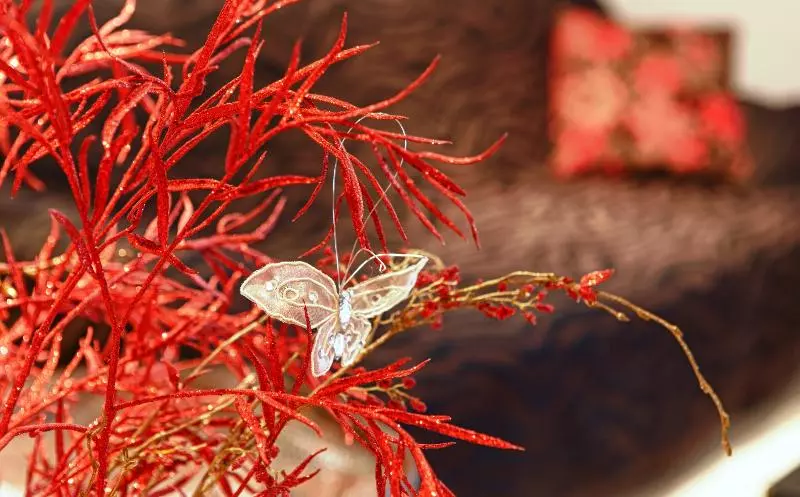 Stella Paradise By Checkin