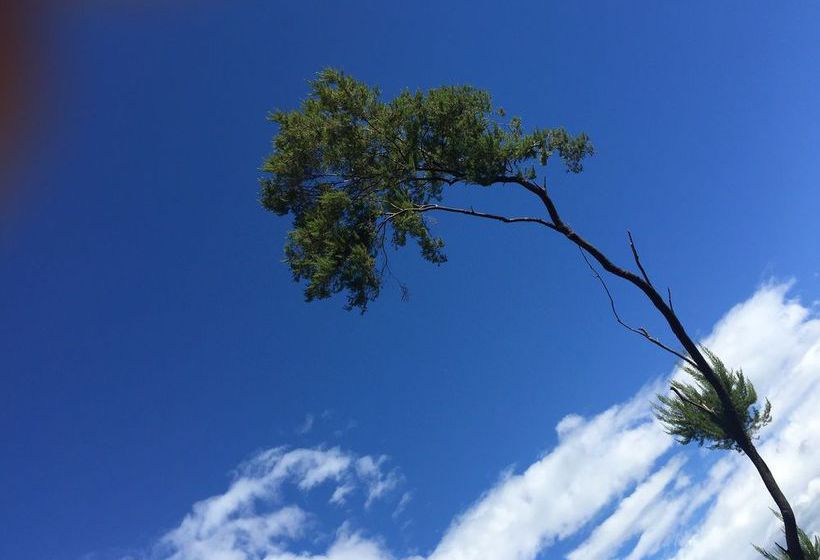 Хостел Il Fortino Mini Suites