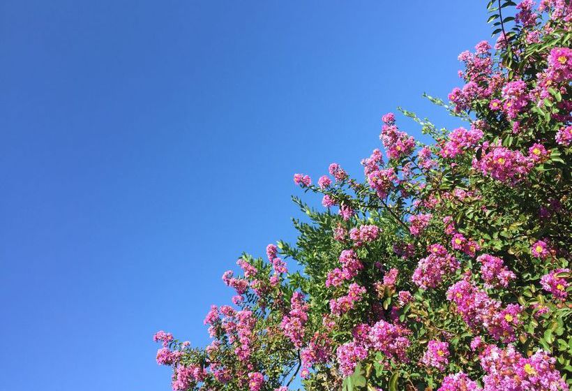 Хостел Il Fortino Mini Suites