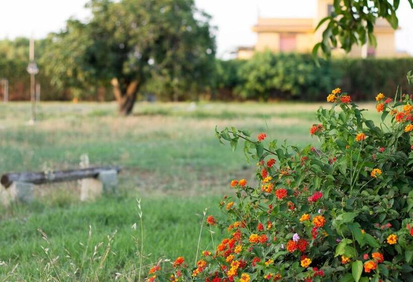 בית מלון כפרי Agriturismo Il Gelsomino Ritrovato