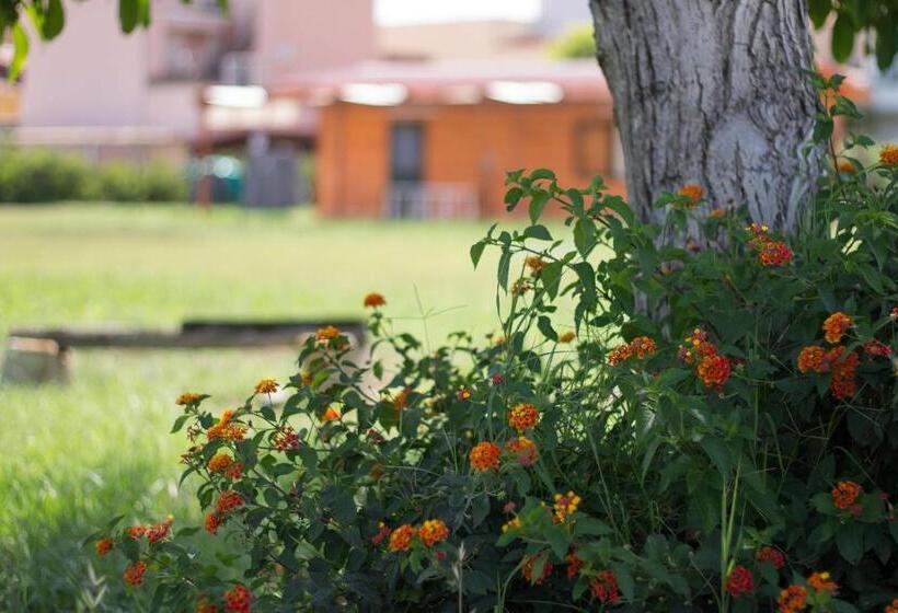 בית מלון כפרי Agriturismo Il Gelsomino Ritrovato