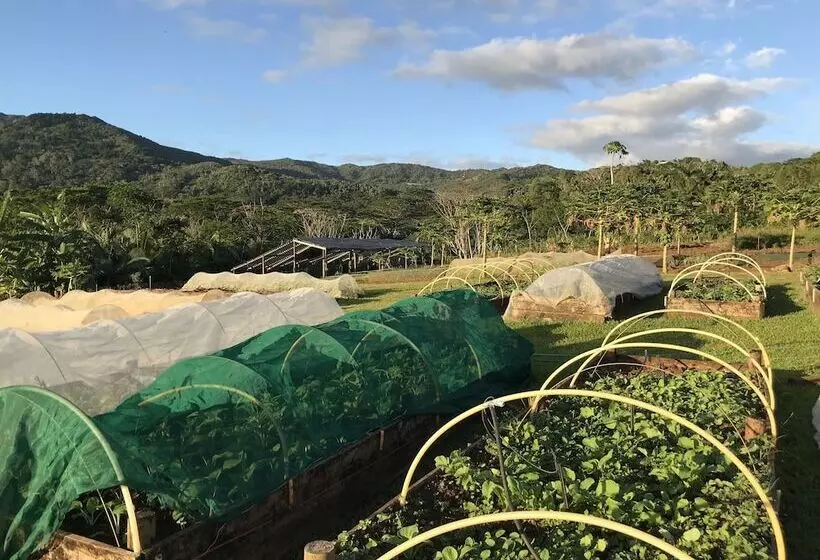 هتل La Vieille Cheminee